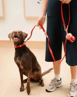 Adjustable dog leash