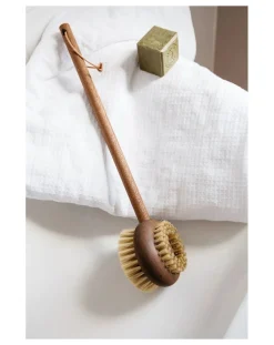 Ash Wood Back Brush