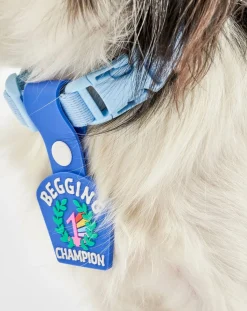 Begging Champion medal