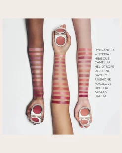 Cheek and lip balm refill