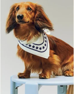 Dog bandana