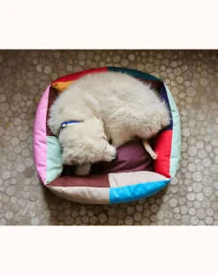 Dog bed