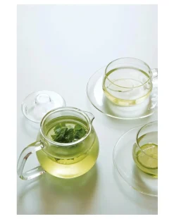 Glass Teapot - 450 ml