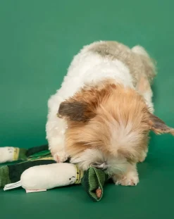 Green Onion digging toy
