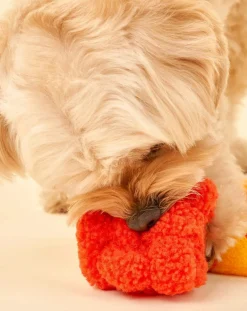 Hooman Surfer digging toy