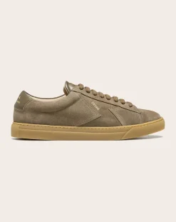 Low Sneaker ZSP4 Suede
