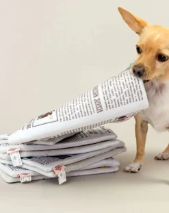 Newspapper digging toy