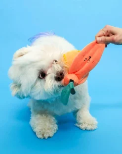 Orange digging toy