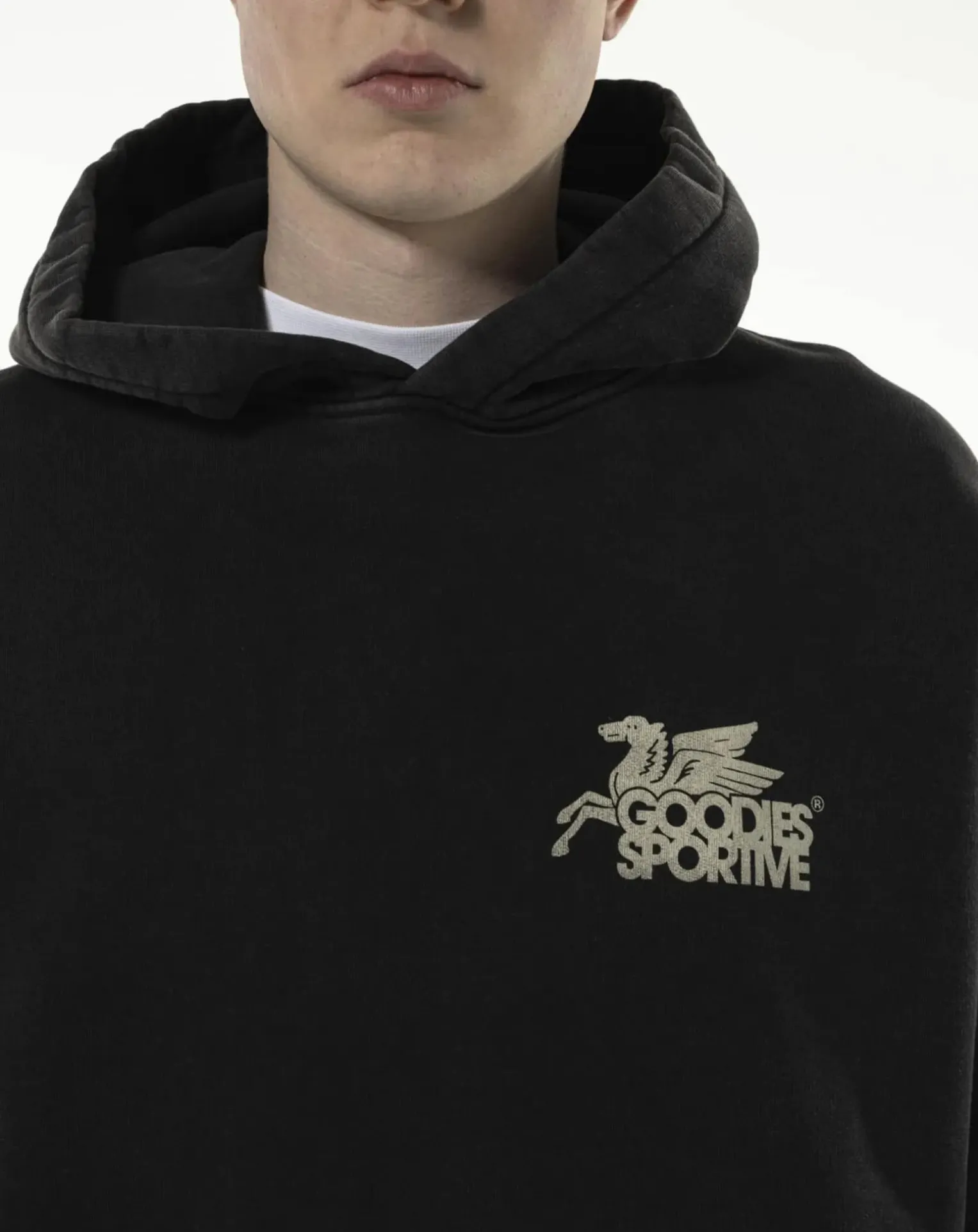 Pegasus black vintage hoodie in organic cotton