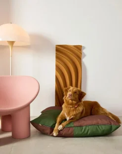 Quartier dog mattress