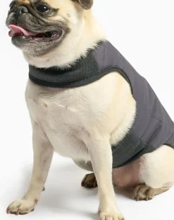 Reversible down jacket