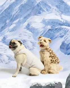 Reversible down jacket