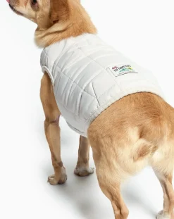 Reversible down jacket