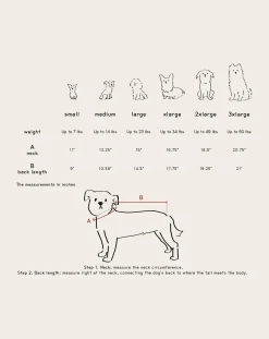 Reversible down jacket