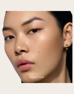 Solar Infusion soft-focus bronzer