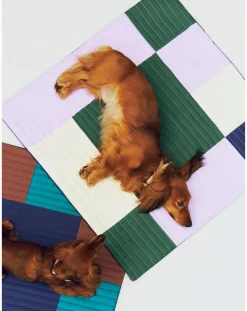 Travel mattress for dogs