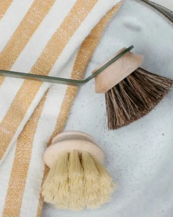 Tête brosse medium pour Manche Super vaisselle