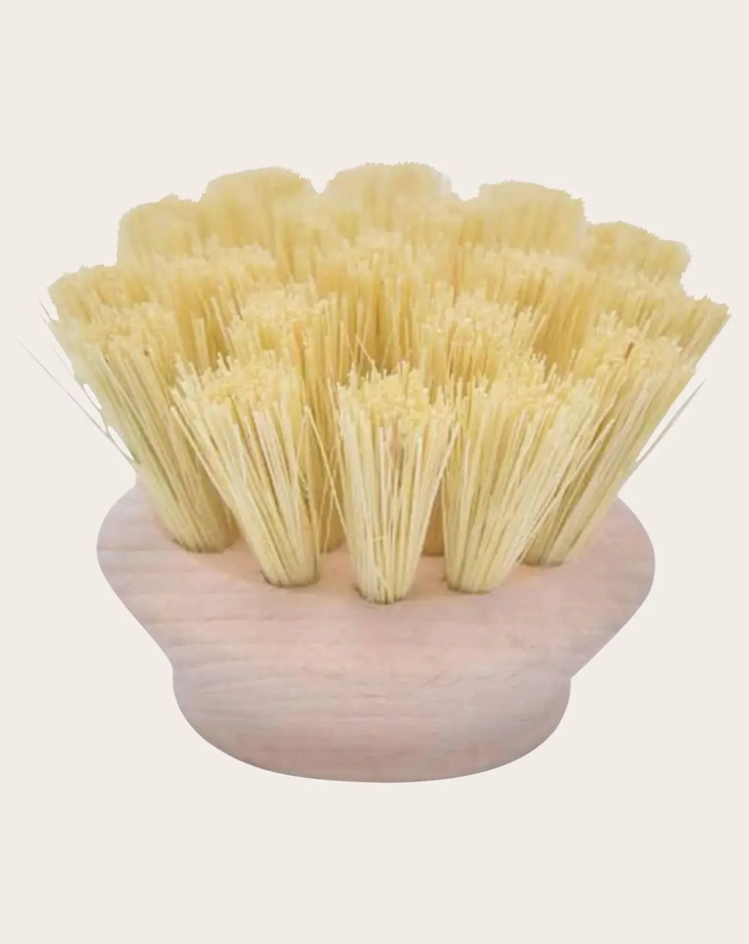 Tête brosse medium pour Manche Super vaisselle